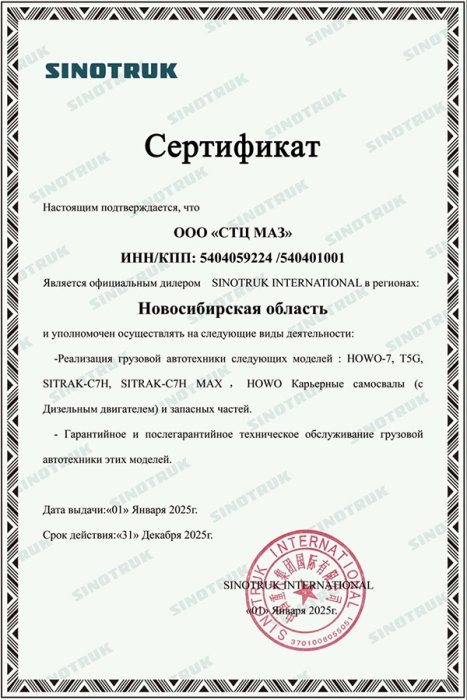 SINOTRUK INTERNATIONAL