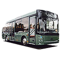 Автобусы